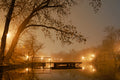 Foggy autumn in the Orczy garden #5183