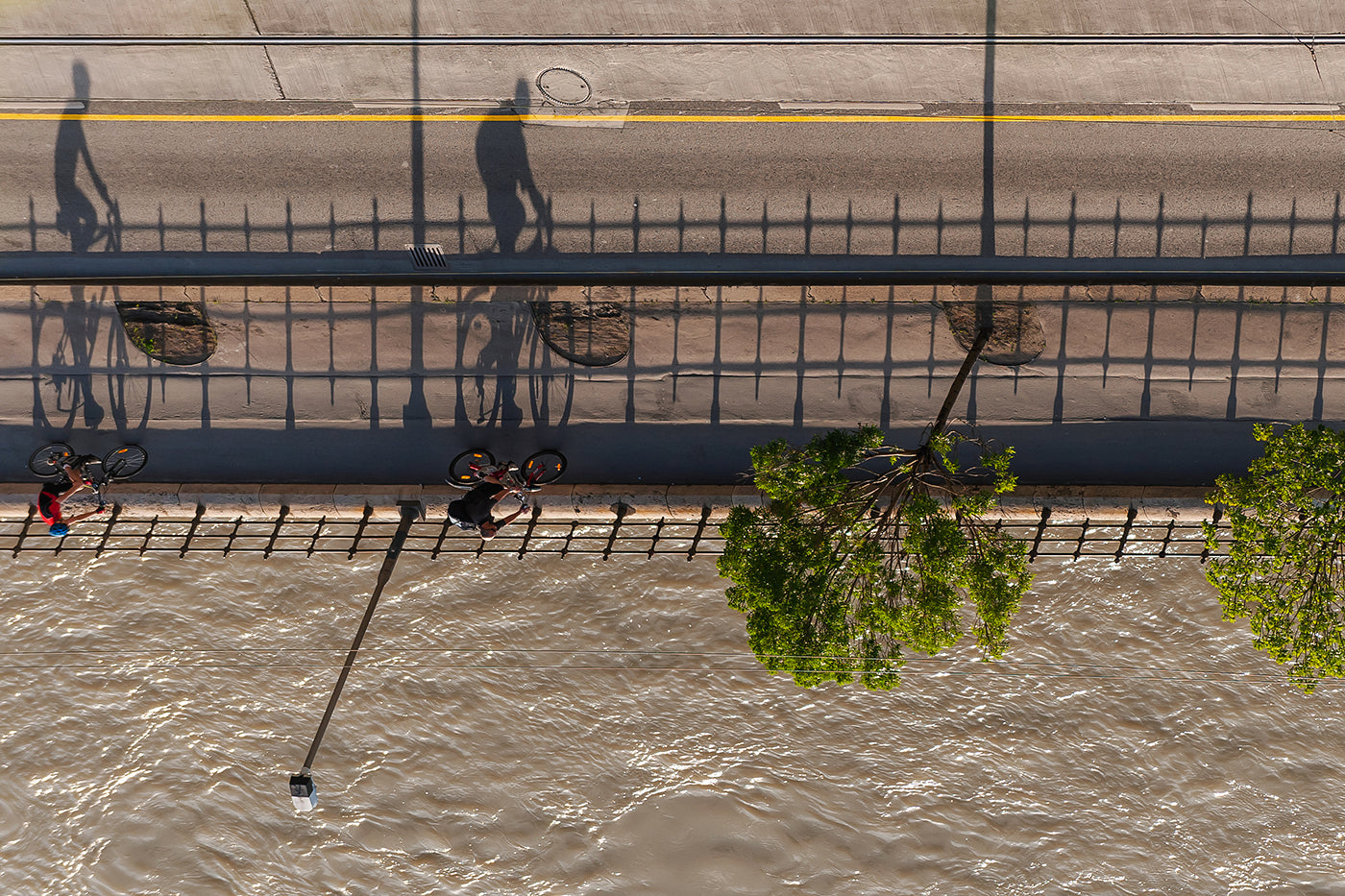 Cyclists on the Danube Bank #5245