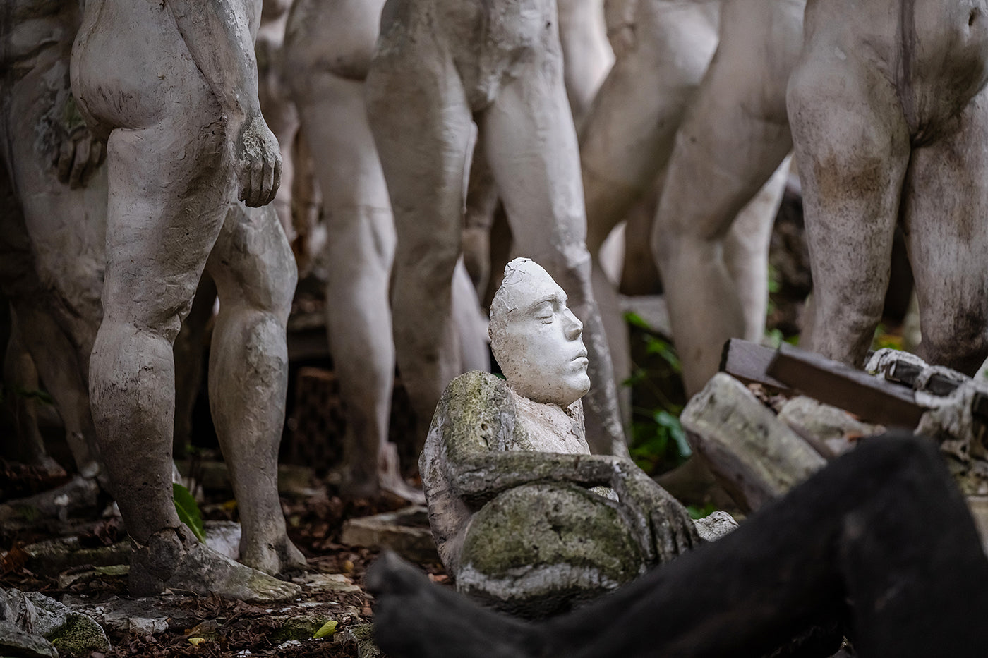 Statues in the Strawberry Garden #5336