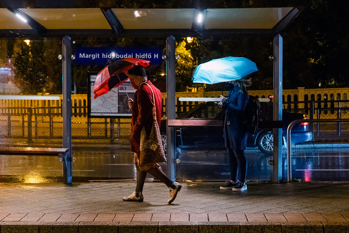 Margaret Bridge, Buda bridgehead in the rain #5360