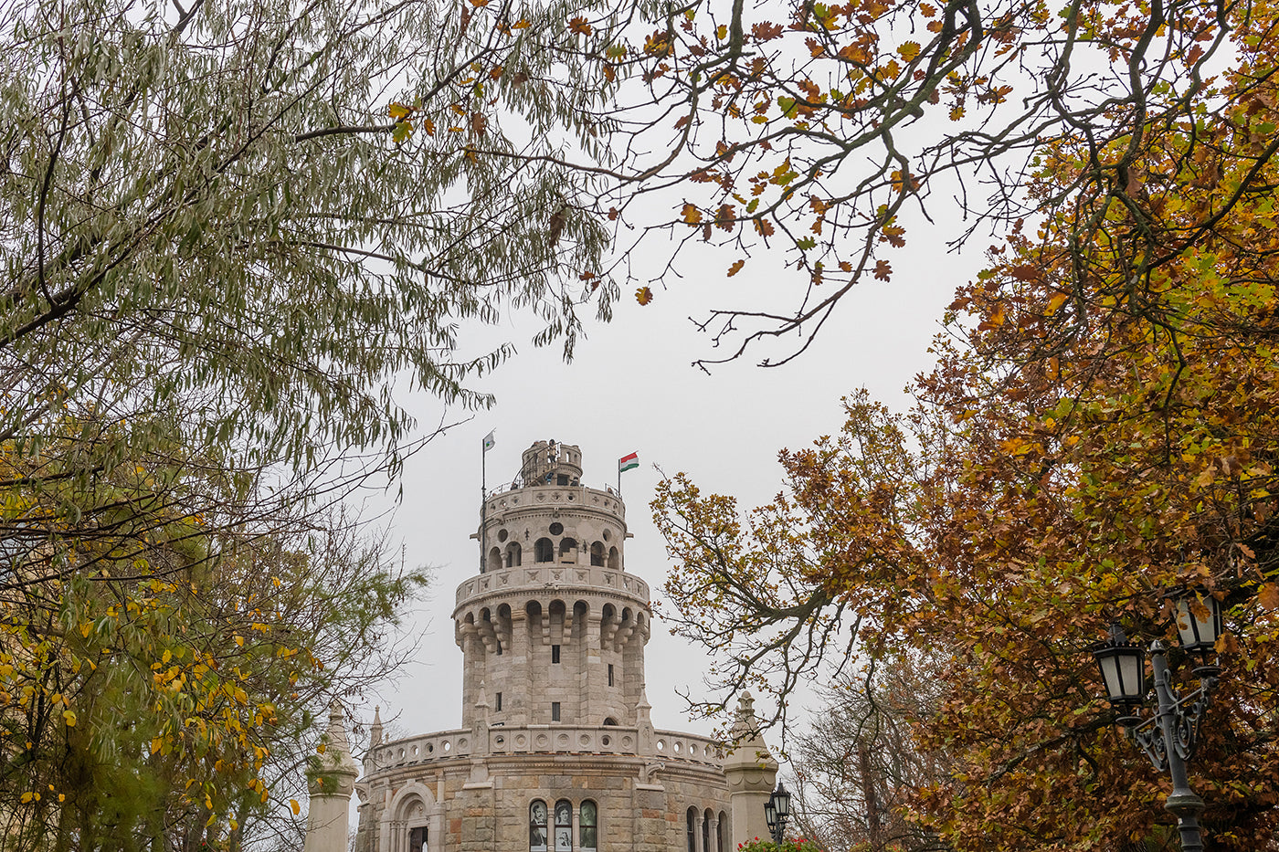 Elizabeth Lookout Tower in Autumn #5536