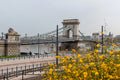 Chain Bridge in Spring #5545