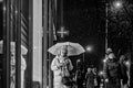 Snowfall on the Grand Boulevard #5603