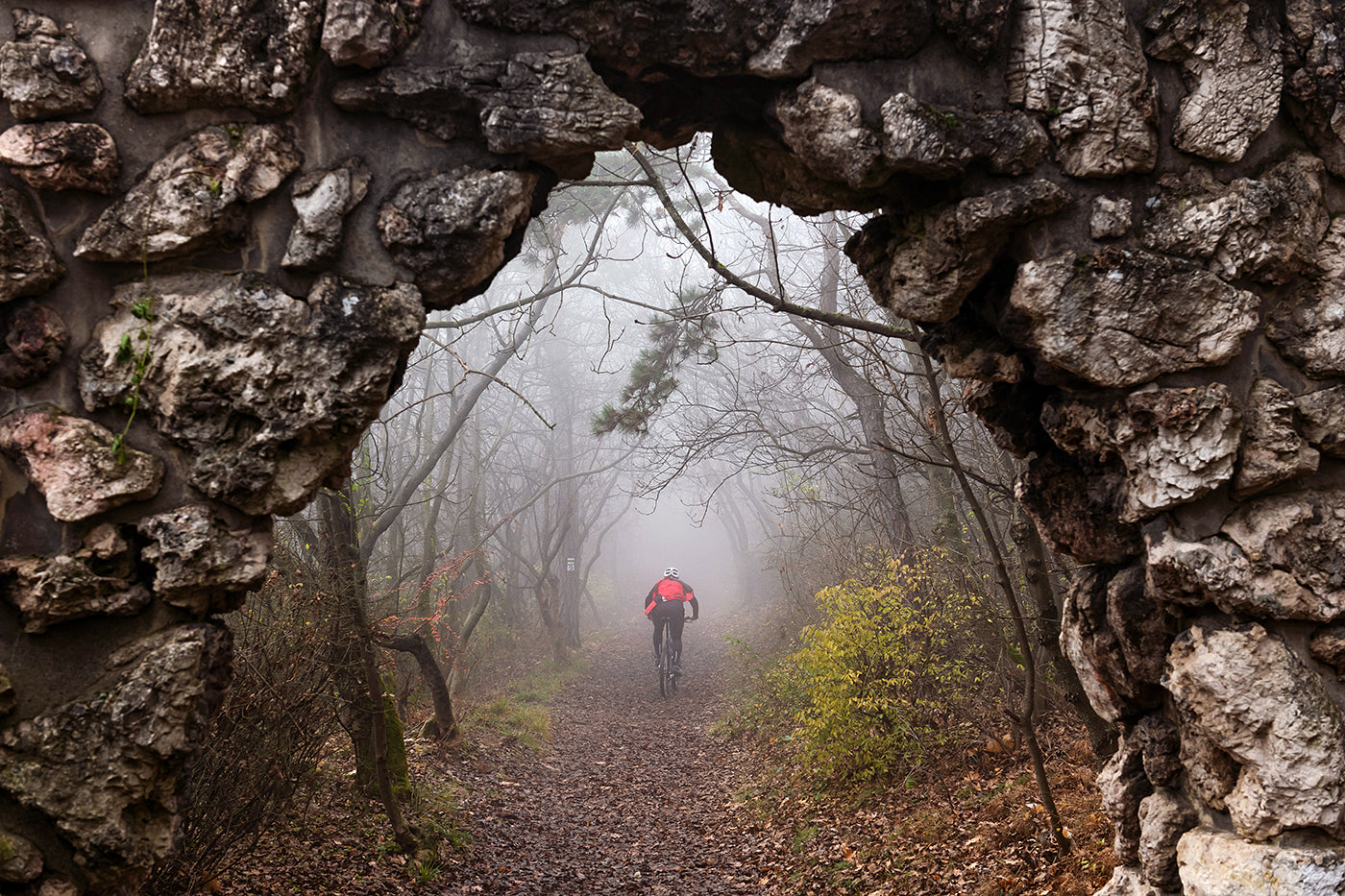 The foggy Árpád Lookout #5671