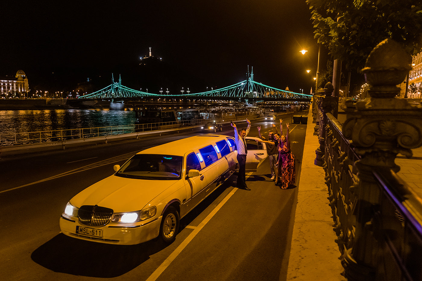 Limousine on the Danube Bank #5719