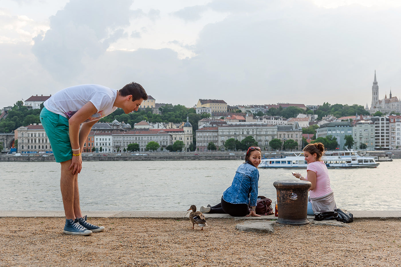 Duck on the Danube Bank #5794