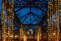 Christmas lights on Hunyadi Square #5828