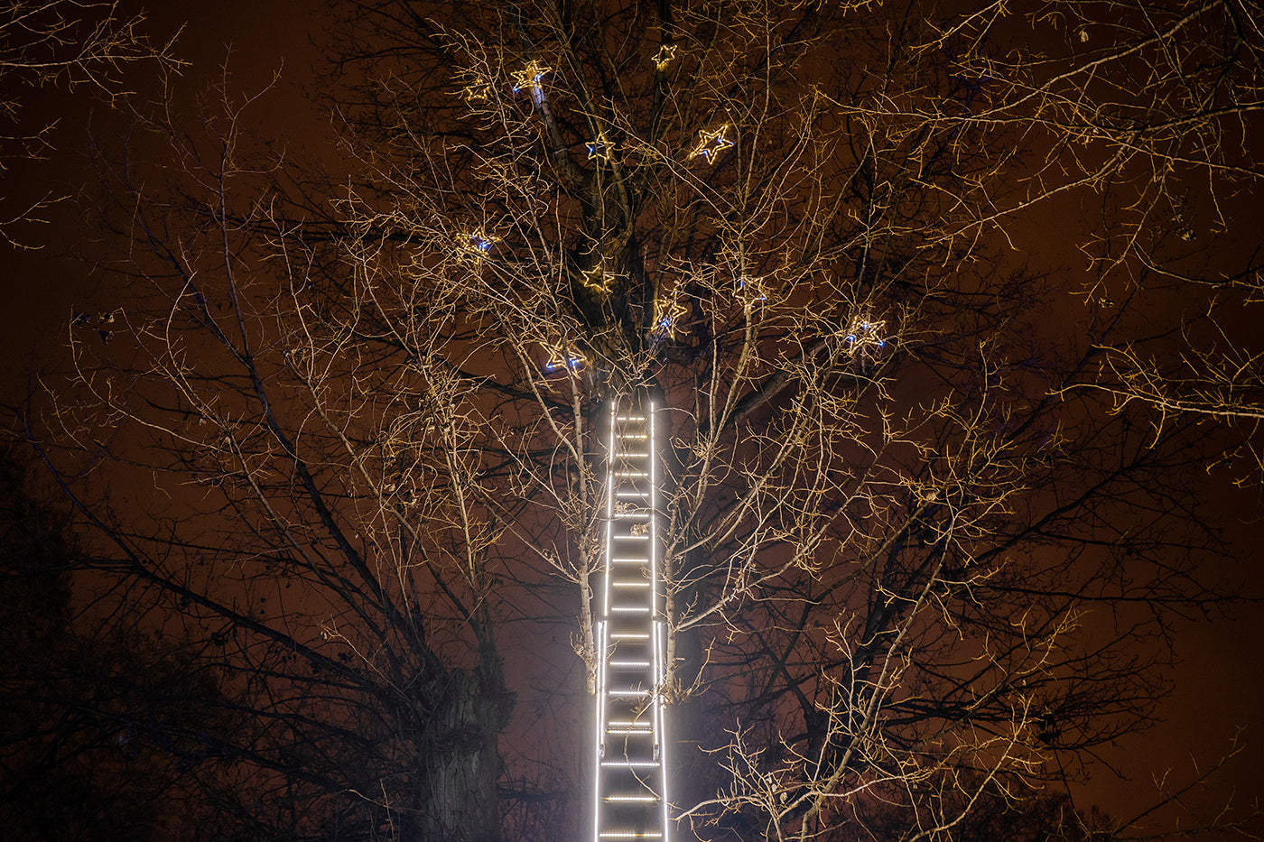 Égig érő létra a Lumina Parkban #5837