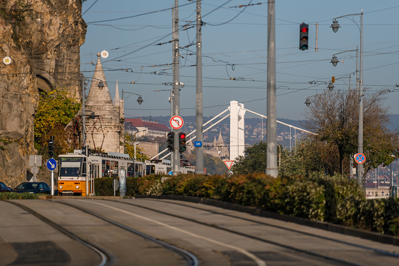 Elizabeth Bridge from Gellért Square #5838
