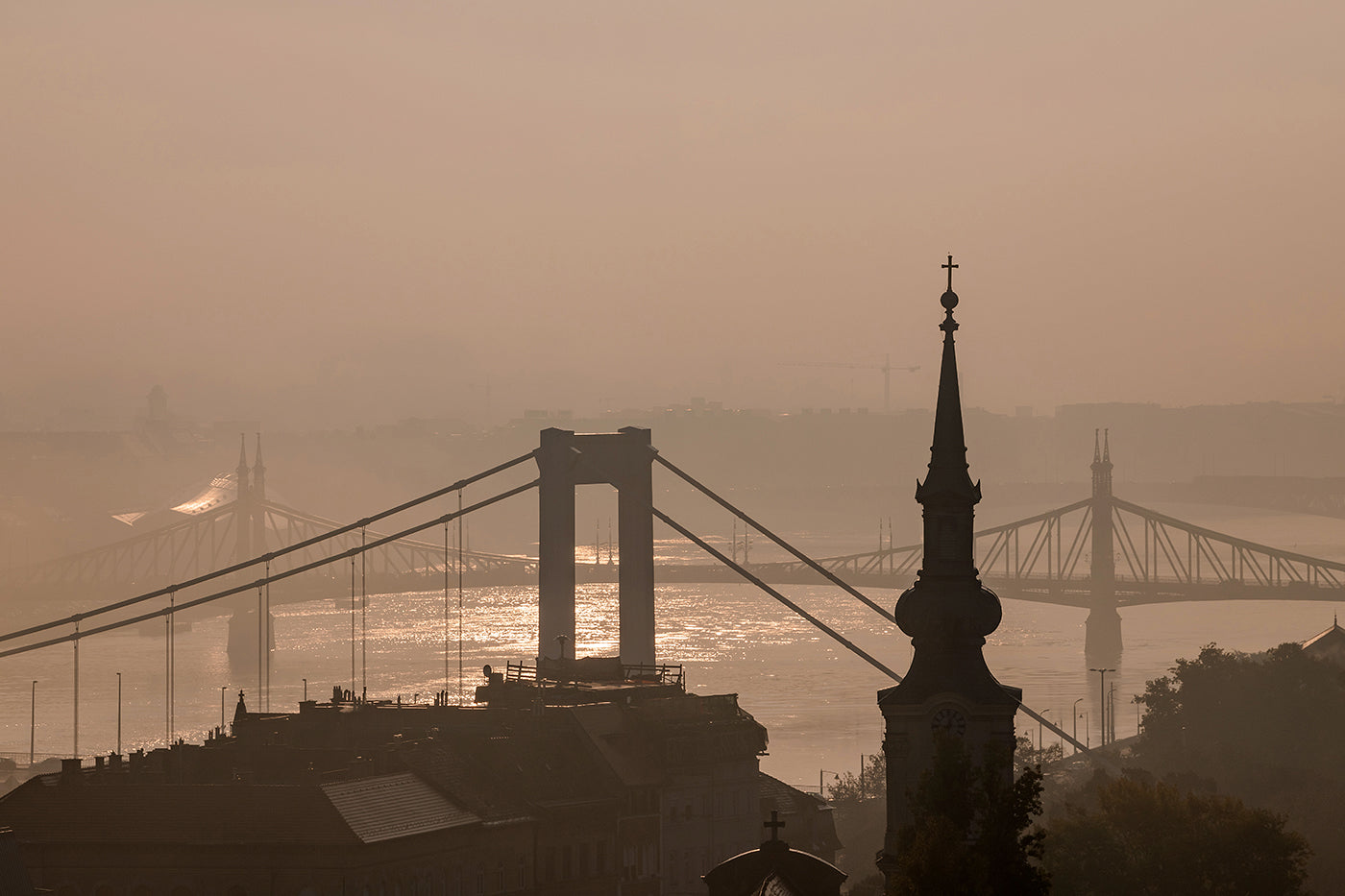 Danube bridges on a November morning #5903