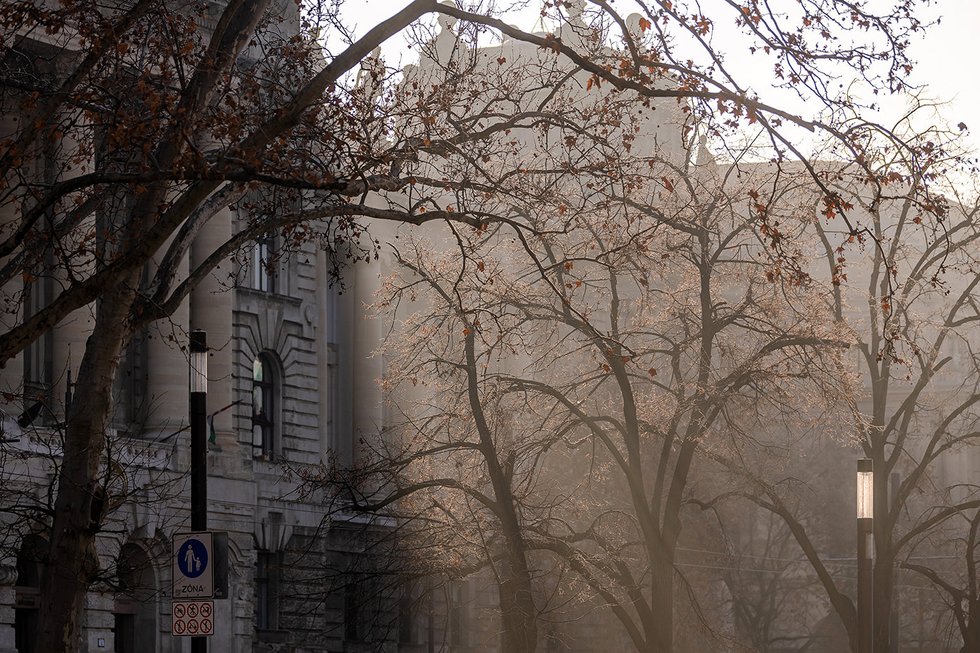 Freedom Square on a winter morning #5915