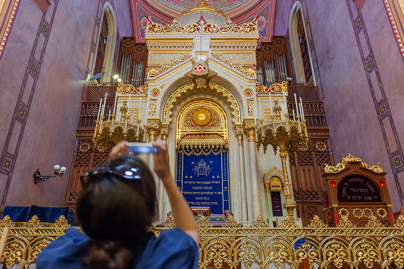 Tourist in the Dohány Street Synagogue #6082