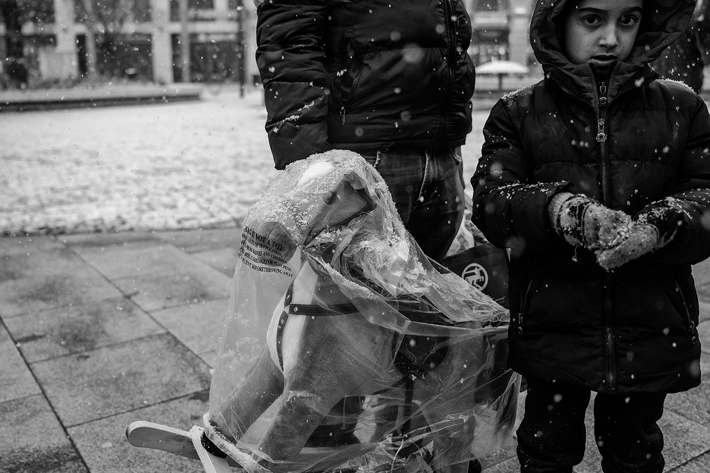 Rocking horse in the Blahan snowfall #6205