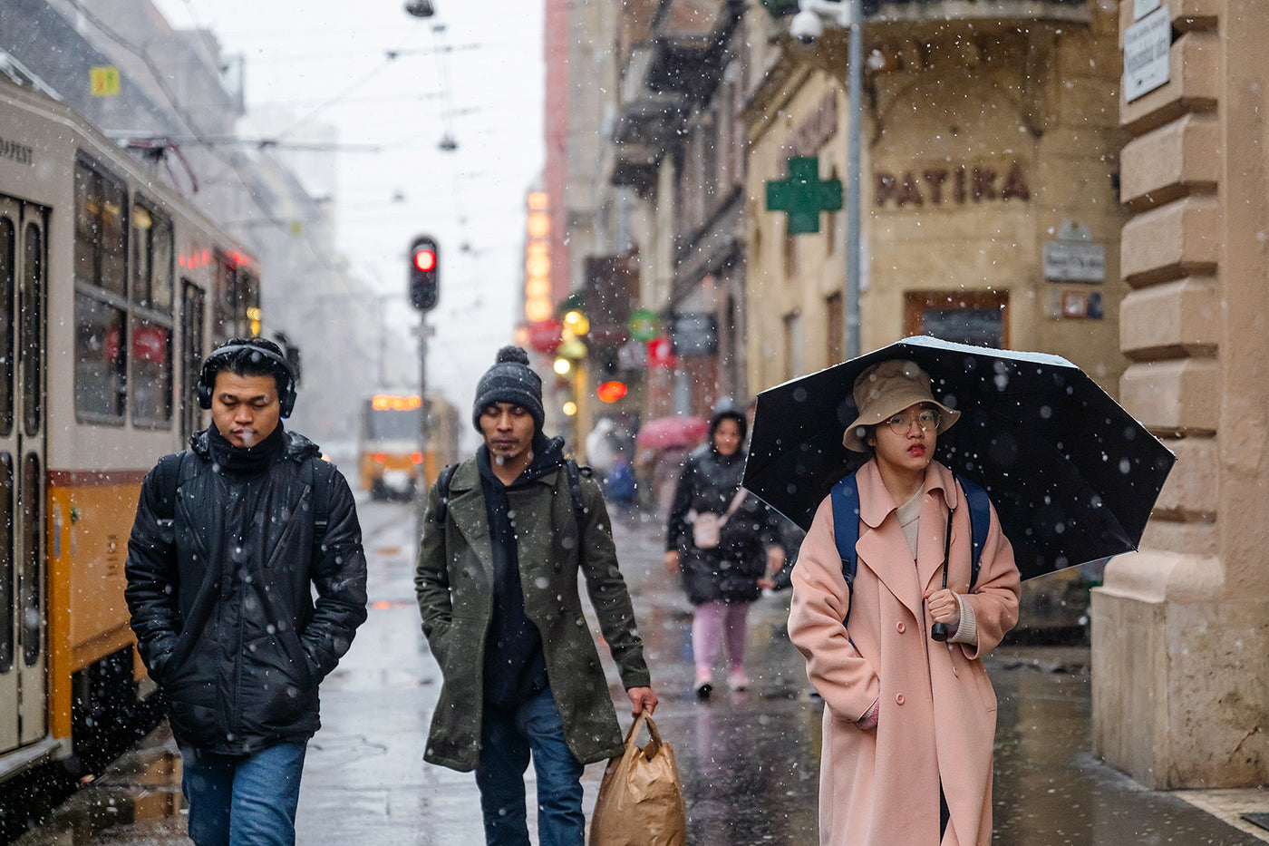 Snowfall on Népszínház Street #6213