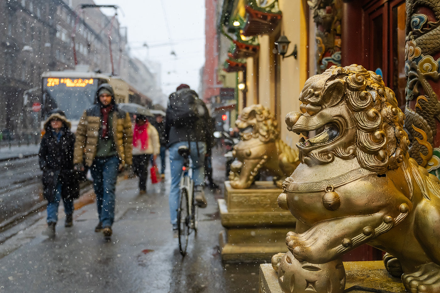 Snowfall on Népszínház Street #6214