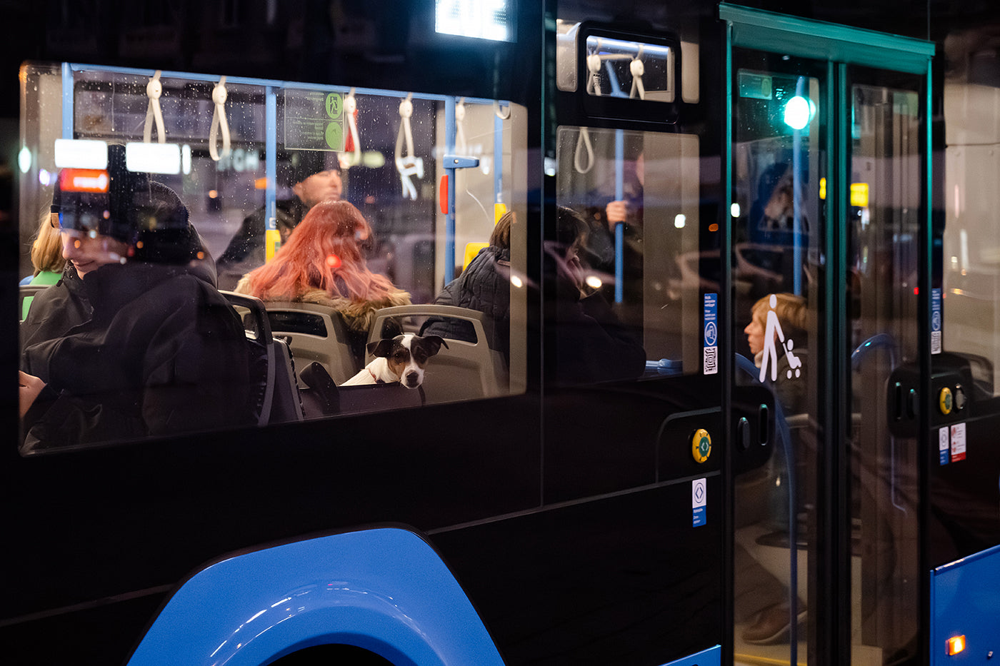 Kutya a buszon a Keletinél #6235