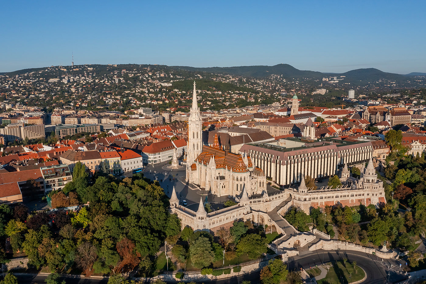 Matthias Church from above #6338