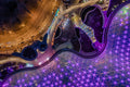 Biodome from above #6444