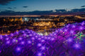 Biodome from above #6459