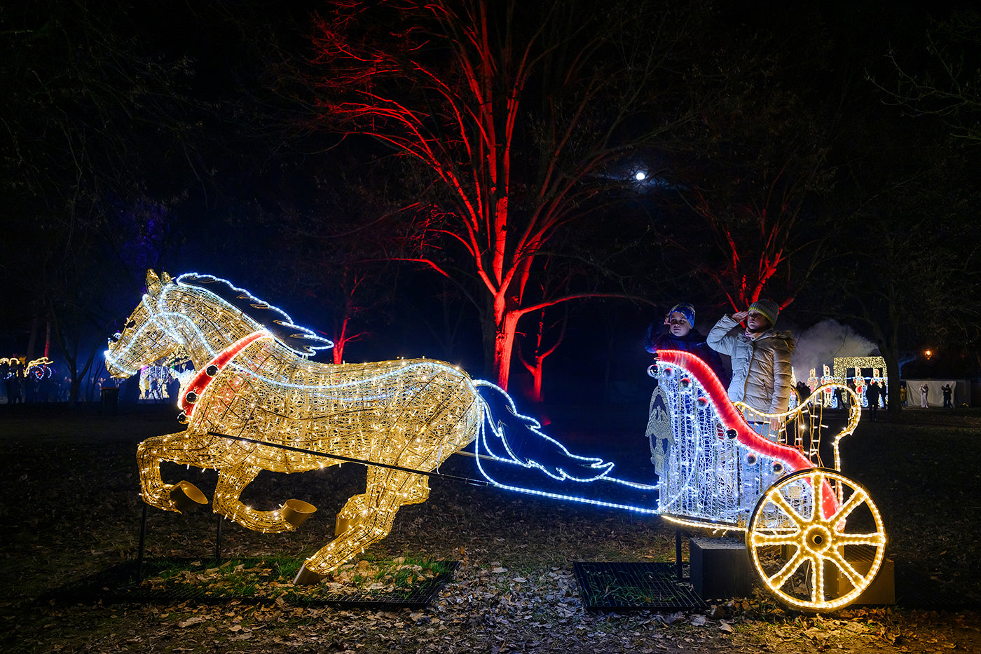 Horse-drawn carriage in Lumina Park #6586