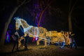Horse-drawn carriage in Lumina Park #6598