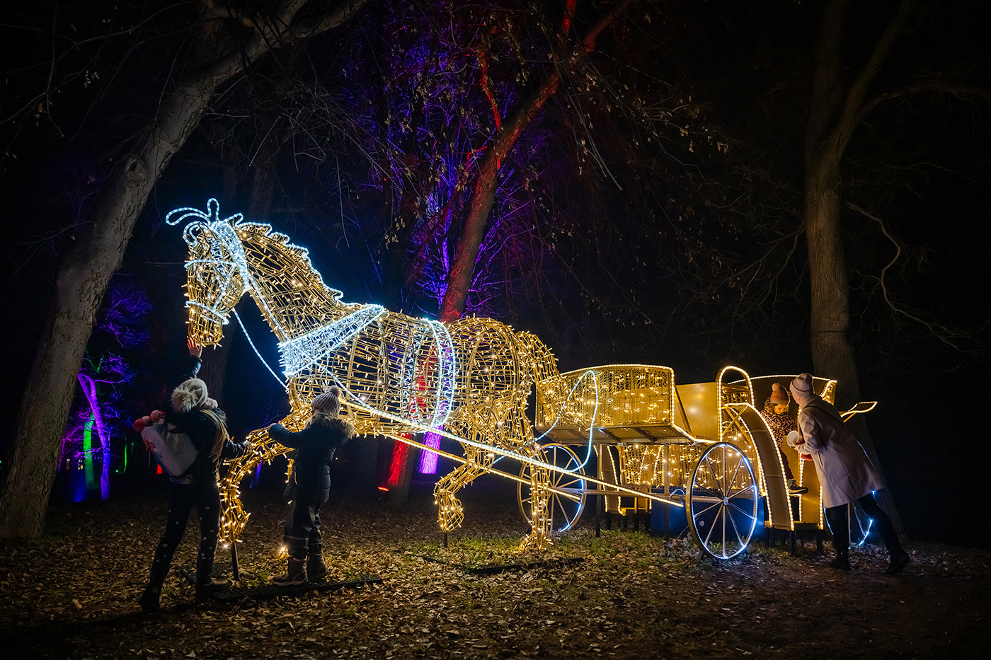 Horse-drawn carriage in Lumina Park #6598