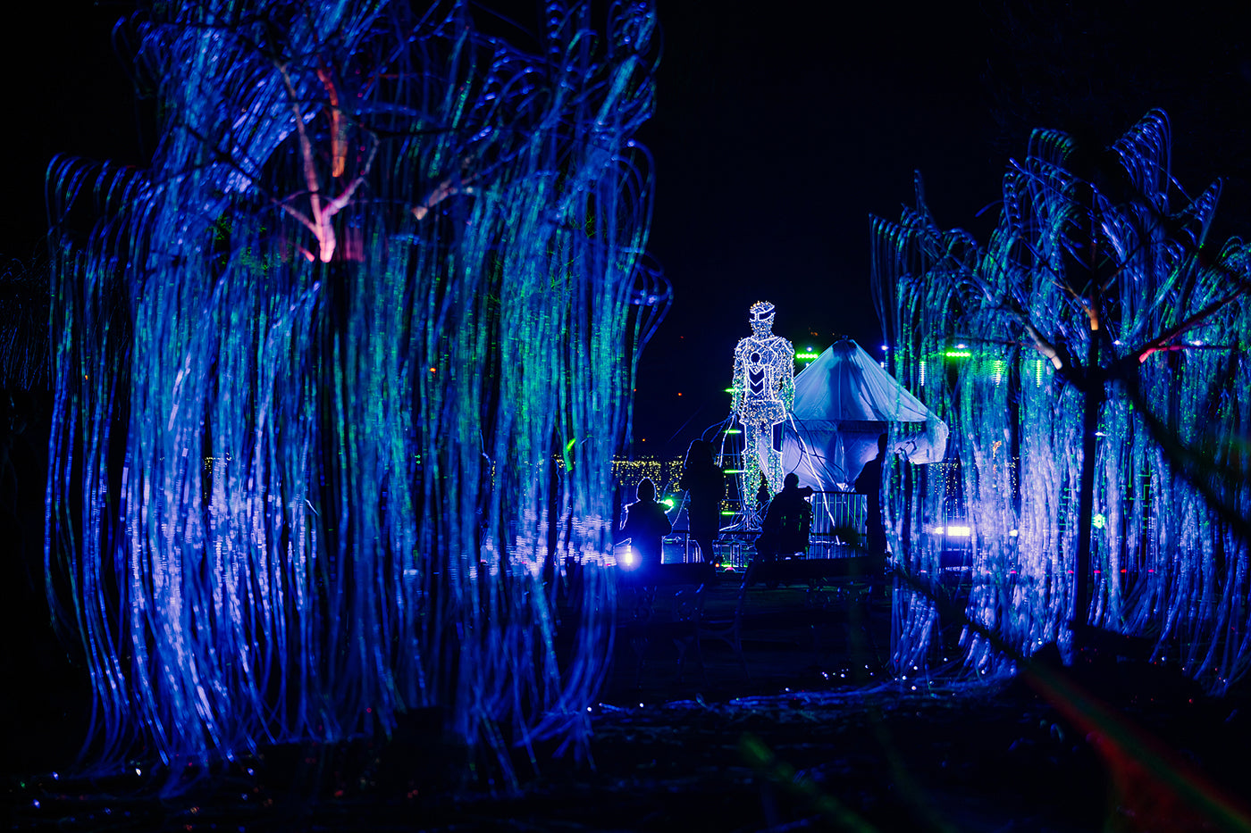 Robot a Lumina Parkban #6636