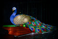 Sárkány Éve Lampion Fesztivál a Biodómnál #6726