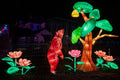 Sárkány Éve Lampion Fesztivál a Biodómnál #6730