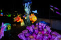 Year of the Dragon Lantern Festival at the Biodome #6736
