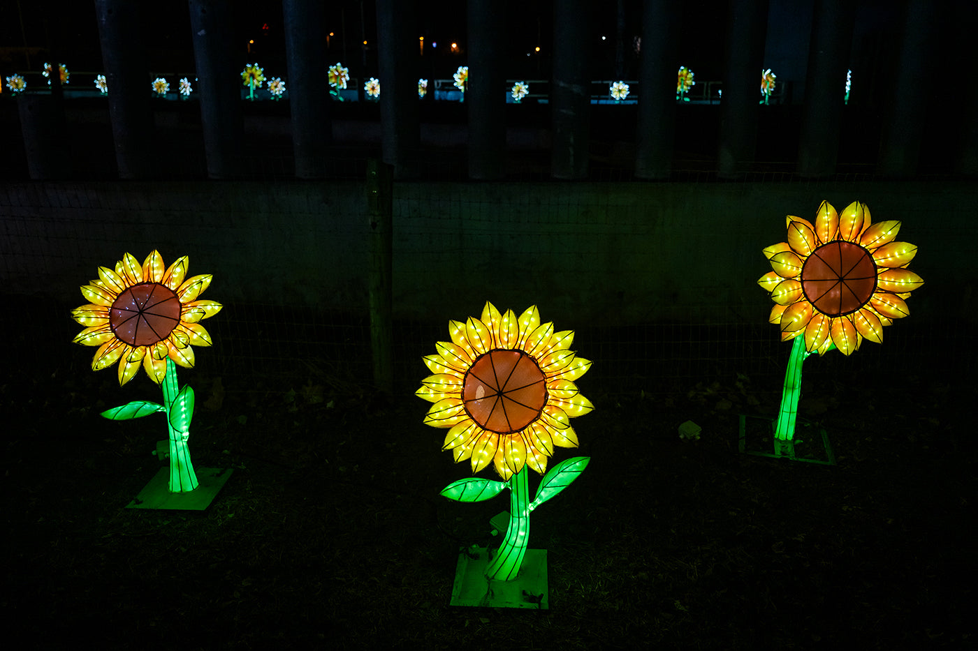 Sárkány Éve Lampion Fesztivál a Biodómnál #6738