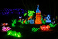 Year of the Dragon Lantern Festival at the Biodome #6739