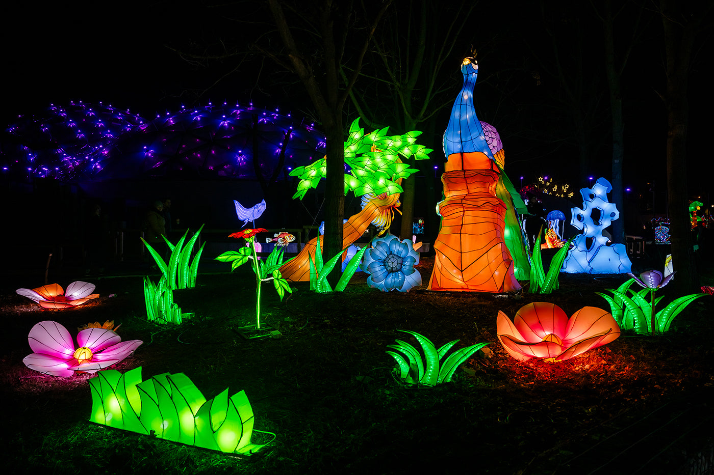 Year of the Dragon Lantern Festival at the Biodome #6739