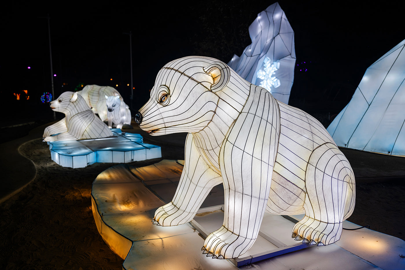 Sárkány Éve Lampion Fesztivál a Biodómnál #6740