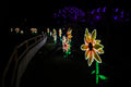 Sárkány Éve Lampion Fesztivál a Biodómnál #6743