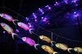 Year of the Dragon Lantern Festival at the Biodome #6746