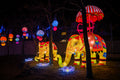 Year of the Dragon Lantern Festival at the Biodome #6748