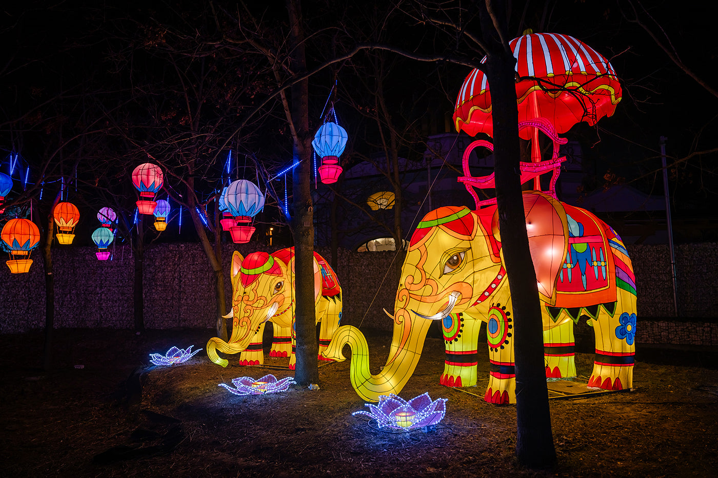 Year of the Dragon Lantern Festival at the Biodome #6748