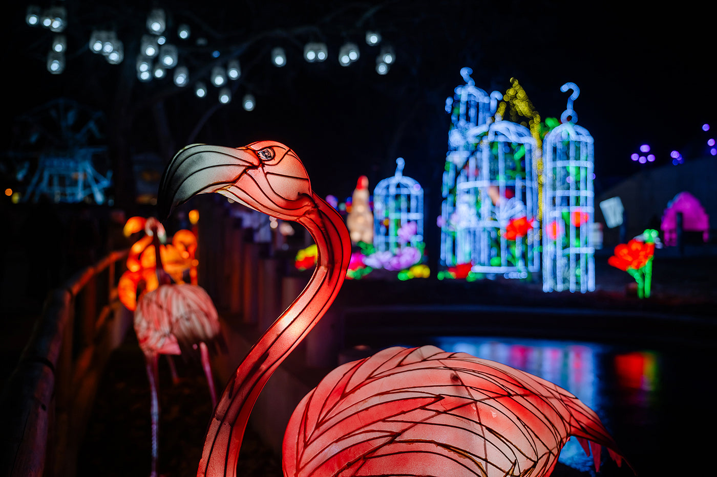 Year of the Dragon Lantern Festival at the Biodome #6752
