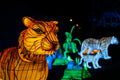 Sárkány Éve Lampion Fesztivál a Biodómnál #6755