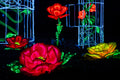 Year of the Dragon Lantern Festival at the Biodome #6754