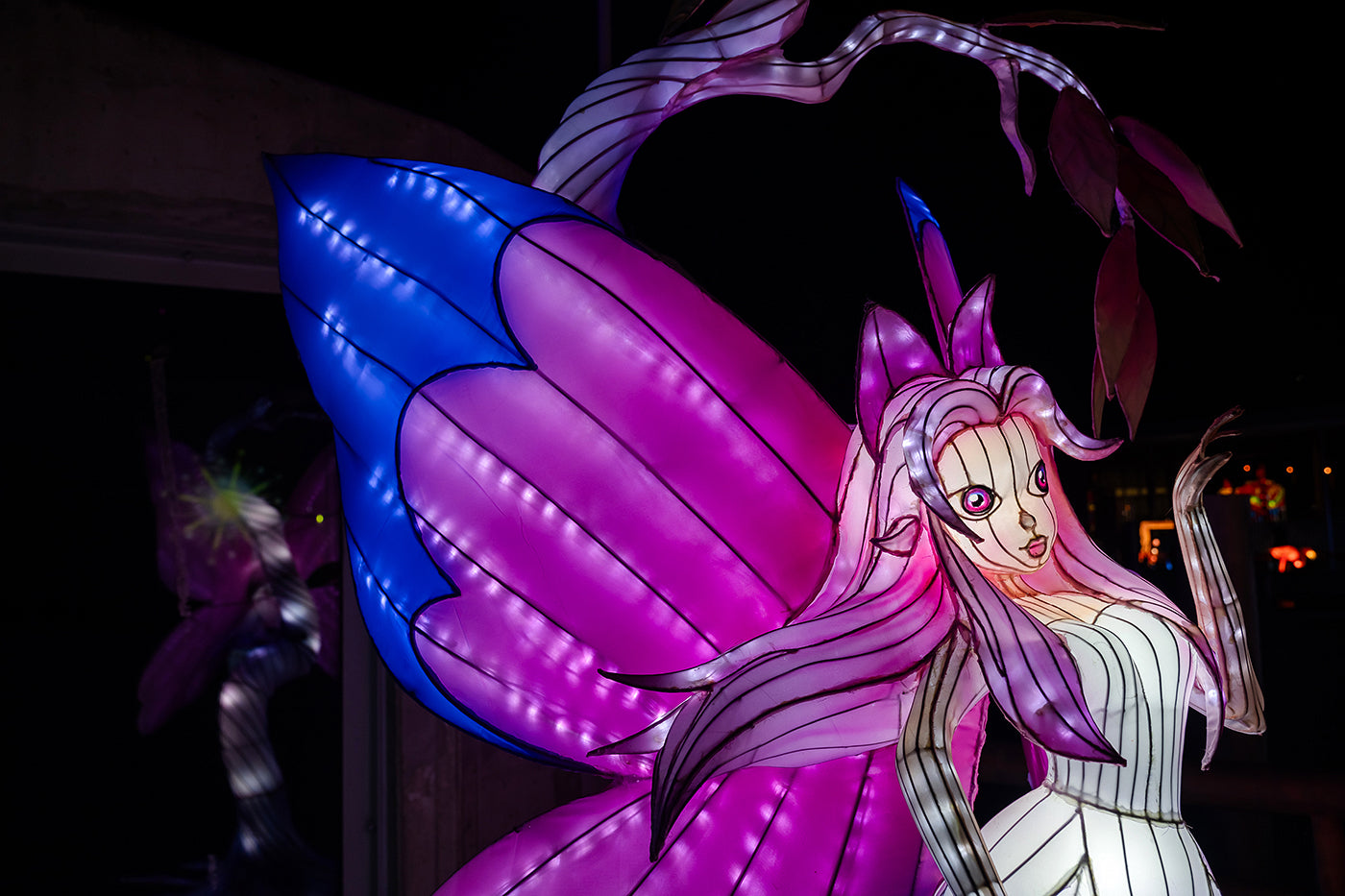 Year of the Dragon Lantern Festival at the Biodome #6758