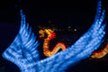 Sárkány Éve Lampion Fesztivál a Biodómnál #6766