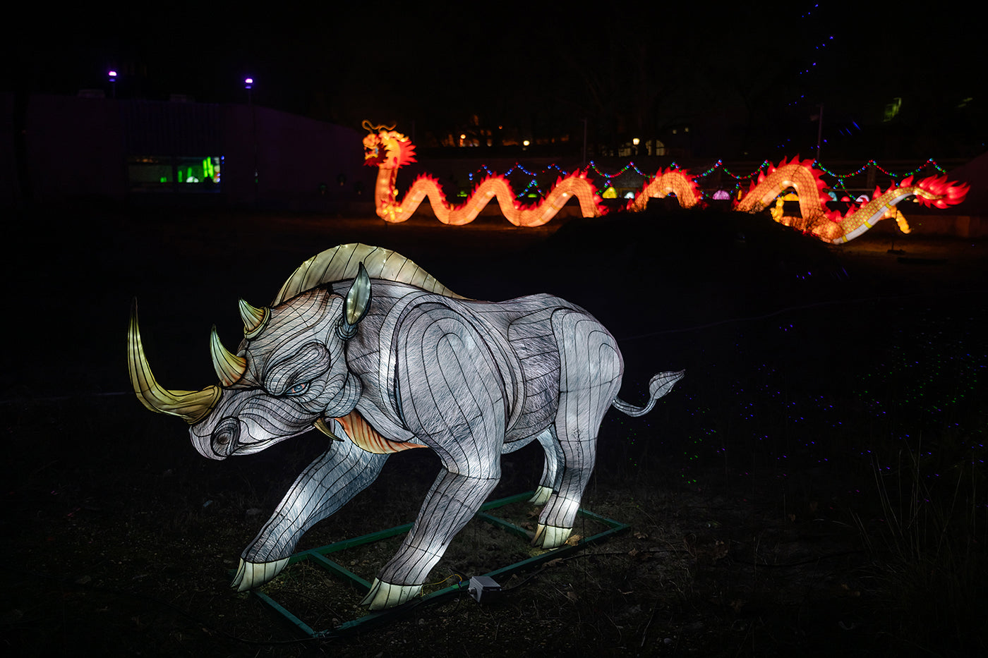 Year of the Dragon Lantern Festival at the Biodome #6767