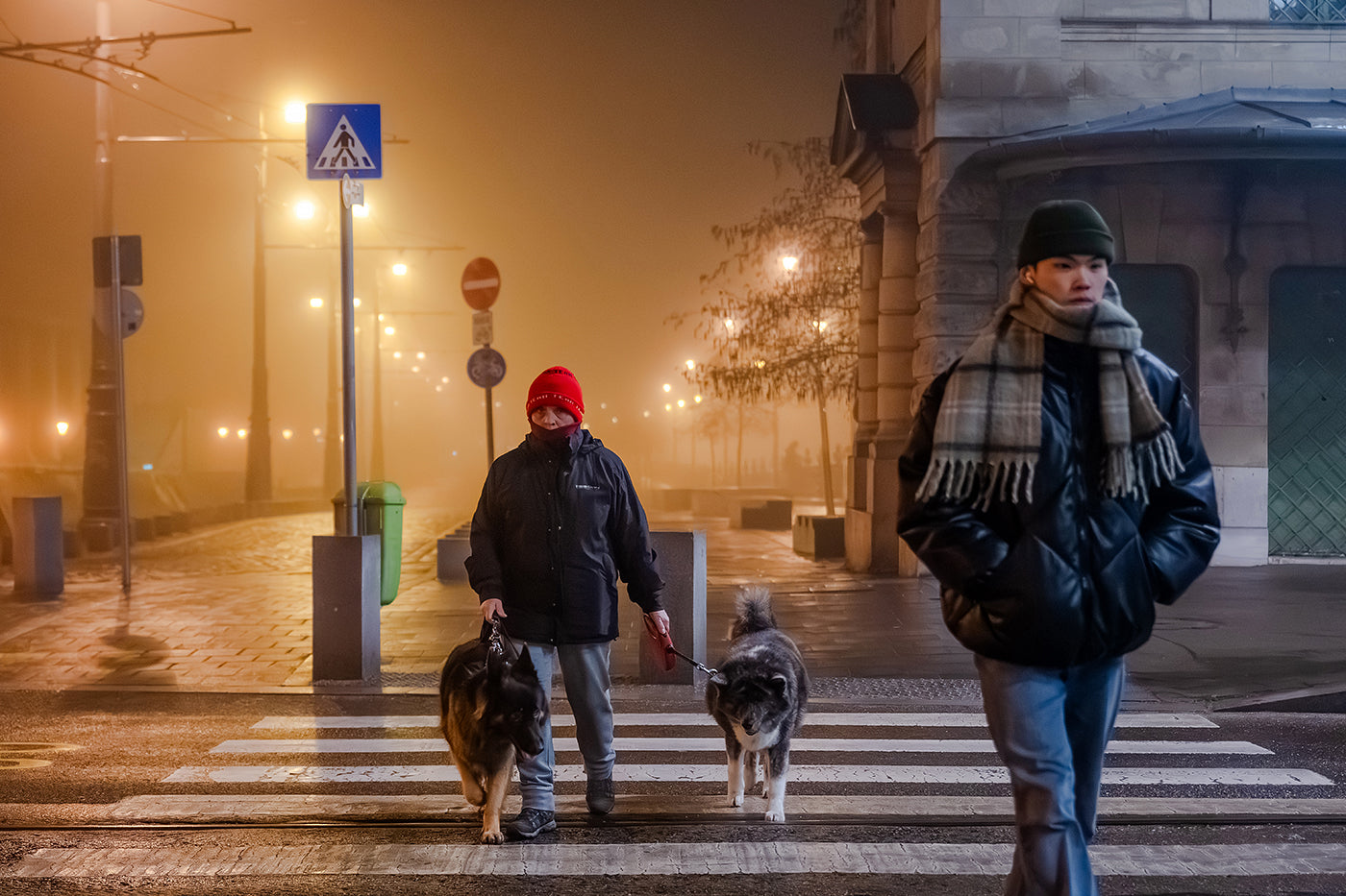 Dog walking in Fővám Square on a foggy winter evening #6838