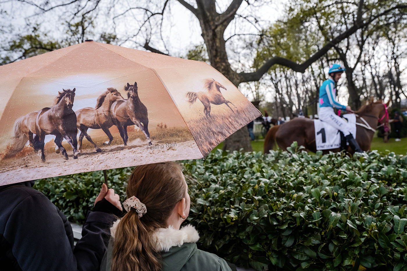 Életkép a Kincsem Parkban #7013