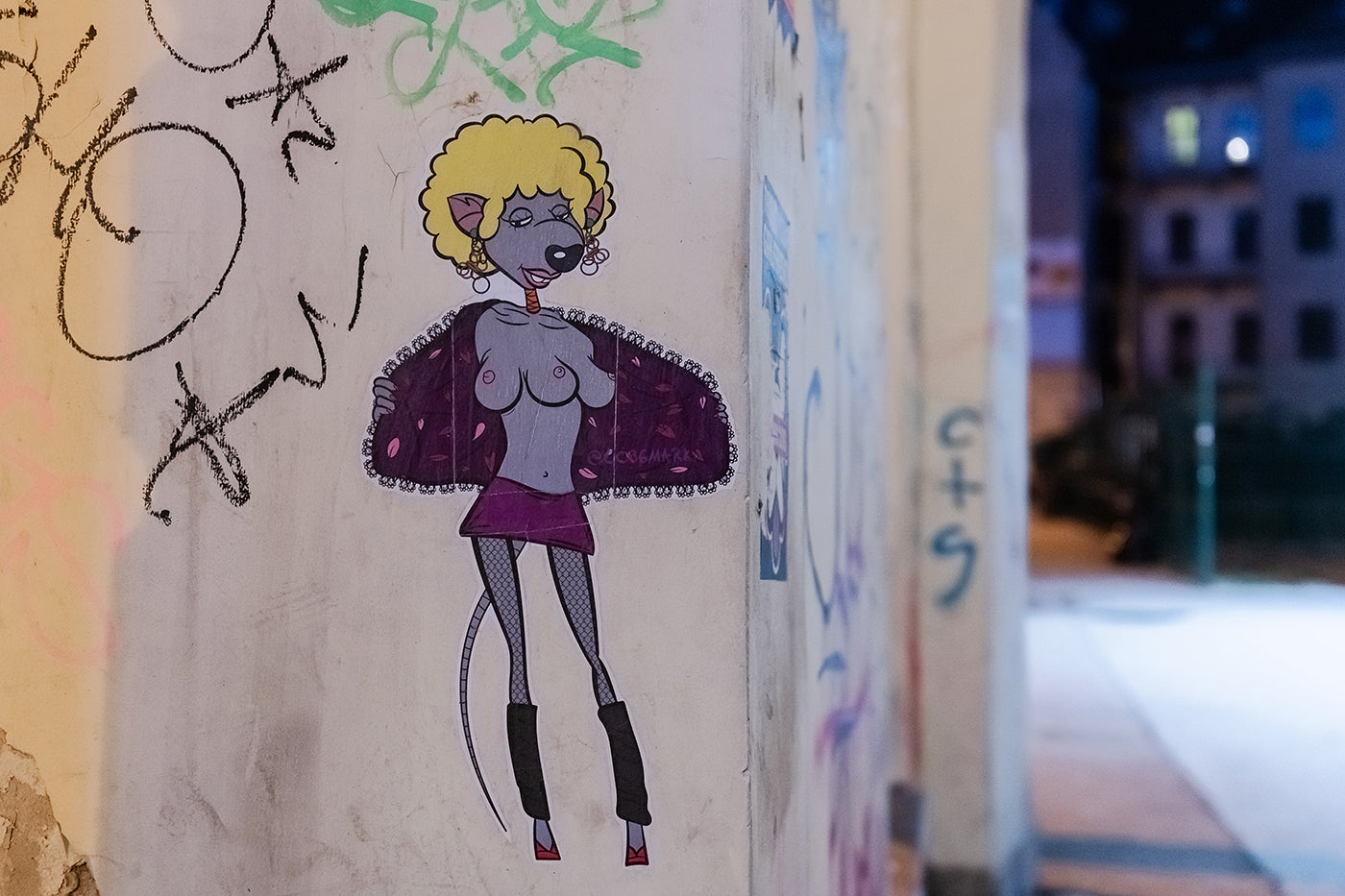 Street art Erzsébetvárosban #7088