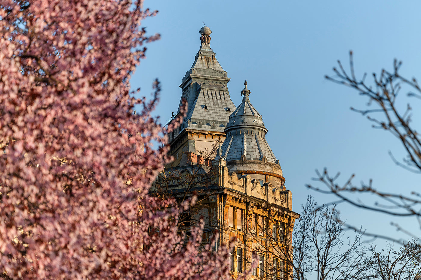 Anchor House in Spring #7179
