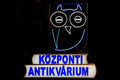 Central Antiquarian Bookstore neon sign #7287