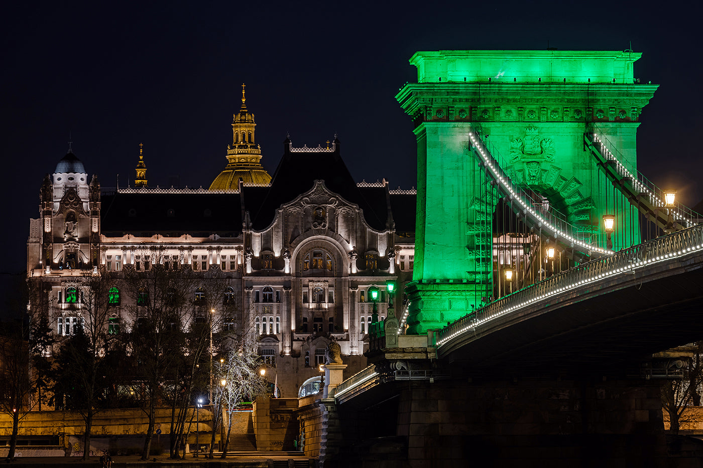 Chain Bridge in green lights #7291